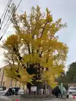 津島神社(愛知県)