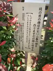 真清田神社の歴史