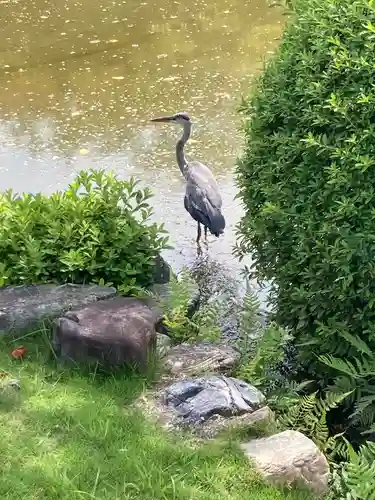 東寺（教王護国寺）の動物