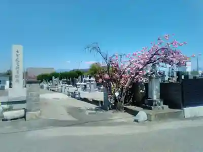 遠妙寺の山門・神門