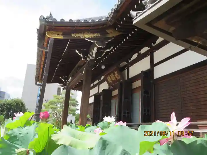 善導寺の本殿・本堂