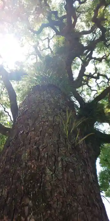 晴明神社(京都府)