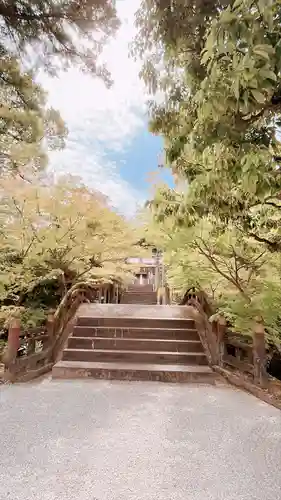 黒髪神社(佐賀県)