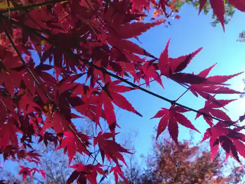妙法寺(福井県)