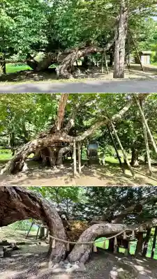 橡木山白木神社(北海道)