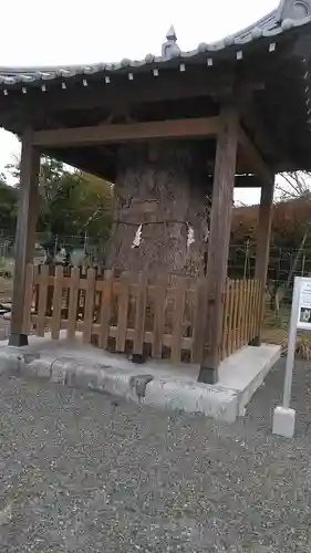 高木神社の自然