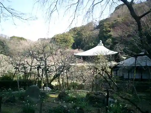 瑞泉寺の庭園