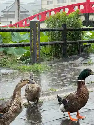 青井阿蘇神社(熊本県)