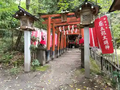 辰五郎大明神の{uncategorized: "未分類", other: "その他", undefined: "問題あり", building: "その他建物", grave: "お墓", sacred_gate: "鳥居", guardian: "狛犬", statue: "像", buddha: "仏像", history: "歴史", nature: "自然", garden: "庭園", animal: "動物", pagoda: "塔", temizu: "手水舎", mountain_gate: "山門・神門", sanctuary: "本殿・本堂", subordinate: "末社・摂社", art: "芸術", scenery: "景色", jizo: "地蔵", ema: "絵馬", goshuin: "御朱印", omikuji: "おみくじ", items: "授与品その他", amulet: "お守り", goshuincho: "御朱印帳", eats: "食事", festival: "お祭り", votive_dance: "神楽", shichigosan: "七五三参", wedding: "結婚式", experience: "体験その他", initially: "初詣", around: "周辺", anti_infection: "感染症対策"}