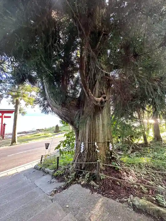 御座石神社(秋田県)