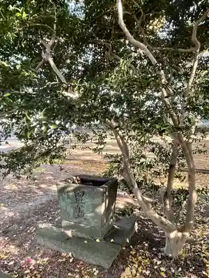 大宮皇神の手水舎