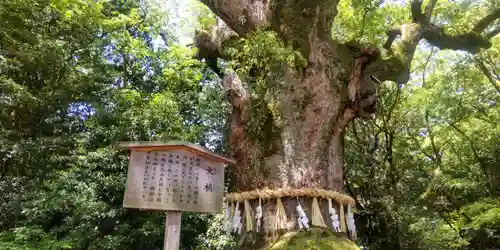 熱田神宮(愛知県)