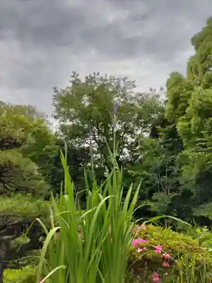 狭山山不動寺の山門・神門