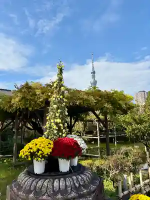 亀戸天神社(東京都)
