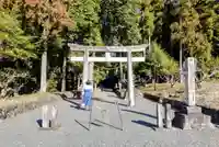 八名井神社の鳥居