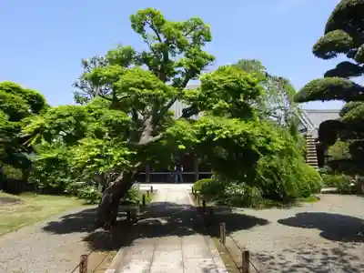 瑞雲寺のその他建物