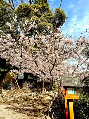 瀬戸神社(神奈川県)