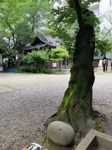御園神社(東京都)