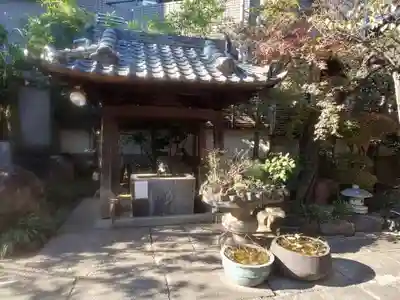 成就院の手水舎