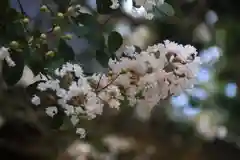 田村神社の庭園