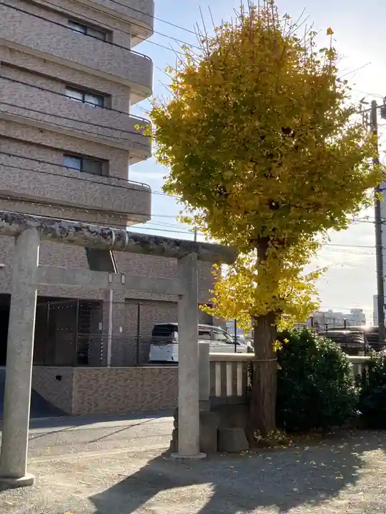 山神社(神奈川県)