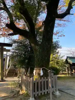 大神神社（花池）(愛知県)