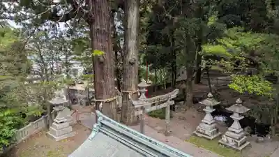 八幡朝見神社の景色