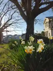 住吉神社(兵庫県)