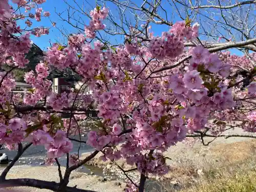 川津来宮神社の自然