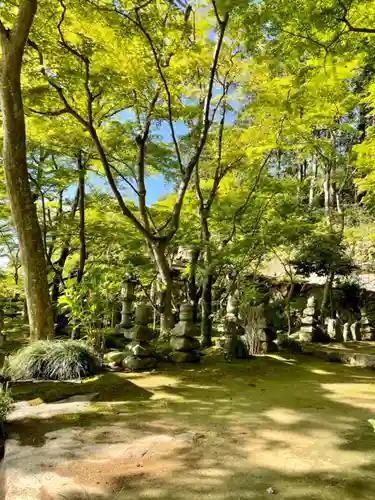 瓦屋寺の庭園