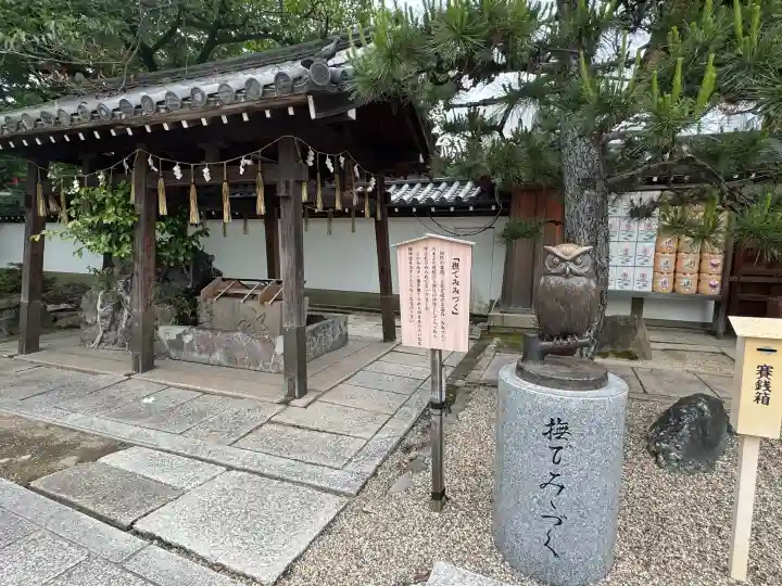 射楯兵主神社(兵庫県)