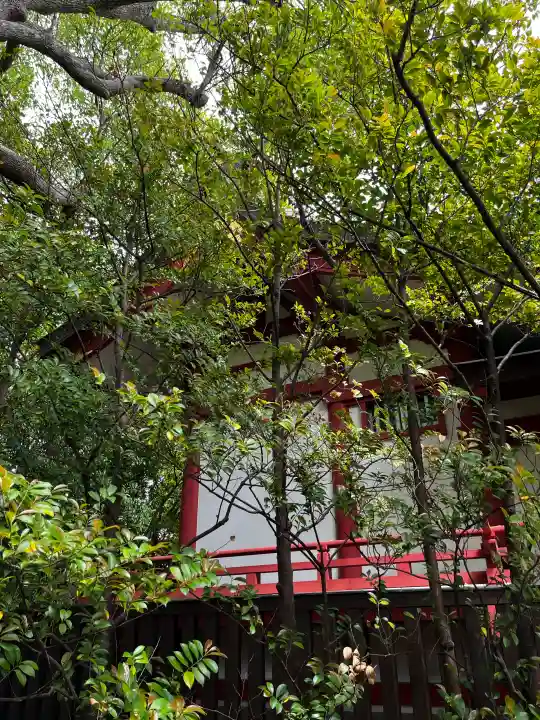 稲毛浅間神社の{uncategorized: "未分類", other: "その他", undefined: "問題あり", building: "その他建物", grave: "お墓", sacred_gate: "鳥居", guardian: "狛犬", statue: "像", buddha: "仏像", history: "歴史", nature: "自然", garden: "庭園", animal: "動物", pagoda: "塔", temizu: "手水舎", mountain_gate: "山門・神門", sanctuary: "本殿・本堂", subordinate: "末社・摂社", art: "芸術", scenery: "景色", jizo: "地蔵", ema: "絵馬", goshuin: "御朱印", omikuji: "おみくじ", items: "授与品その他", amulet: "お守り", goshuincho: "御朱印帳", eats: "食事", festival: "お祭り", votive_dance: "神楽", shichigosan: "七五三参", wedding: "結婚式", experience: "体験その他", initially: "初詣", around: "周辺", anti_infection: "感染症対策"}