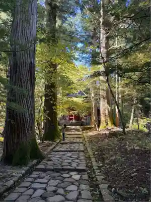 瀧尾神社（日光二荒山神社別宮）(栃木県)