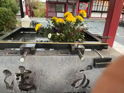 篠崎八幡神社(福岡県)