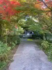 安国寺の自然