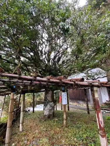 竹生島神社（都久夫須麻神社）(滋賀県)