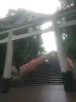 日枝神社の鳥居