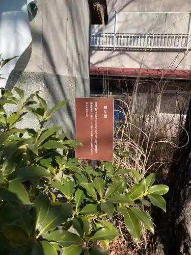 妙法寺(山梨県)