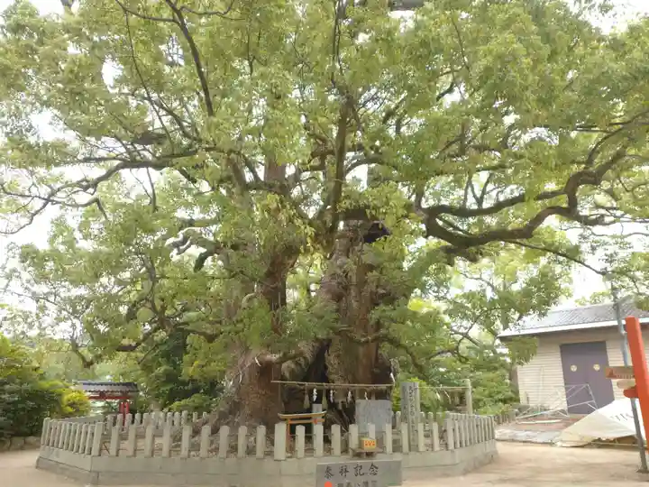 宇美八幡宮のその他建物