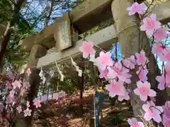 滑川神社 - 仕事と子どもの守り神の鳥居