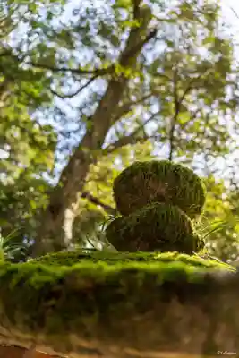 春日大社(奈良県)