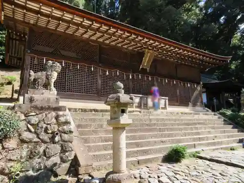 宇治上神社の本殿・本堂
