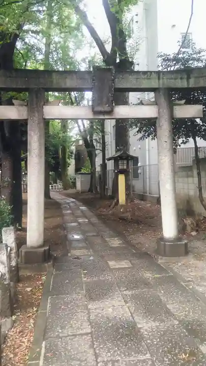 荻窪白山神社の鳥居