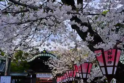 三嶋大社(静岡県)