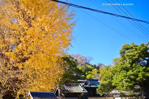 英勝寺(神奈川県)