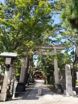 菟橋神社の鳥居