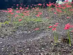 押切八幡神社の自然