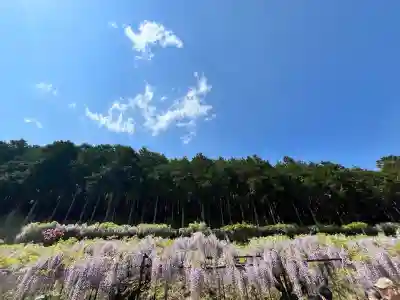 天台宗 五大山 白毫寺(兵庫県)