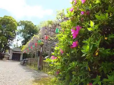 惣社神社の自然