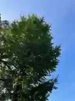 伊勢の国 四天王寺の自然